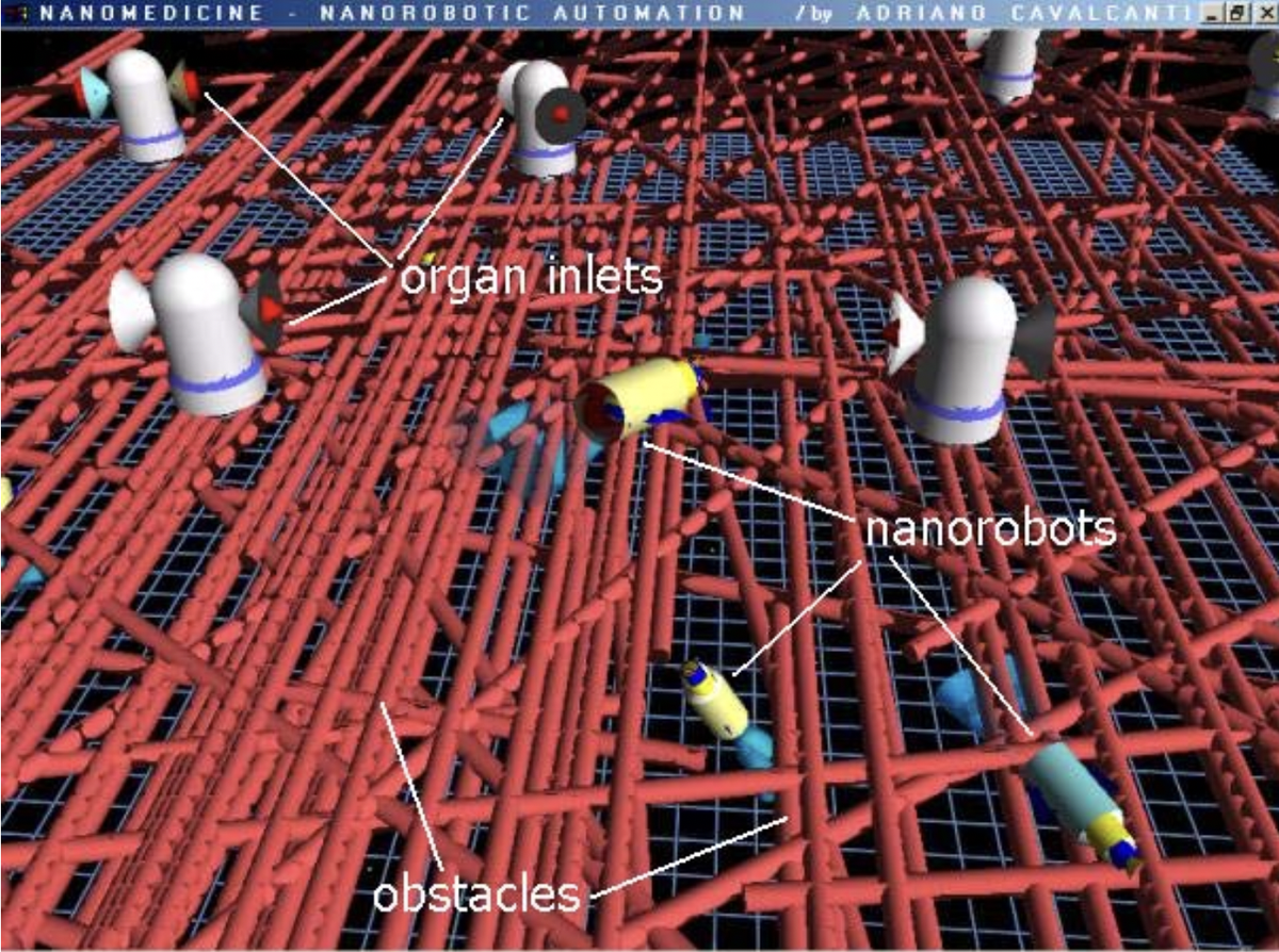 Виртуальная среда моделирования нанороботов в кровотоке, вид сверху