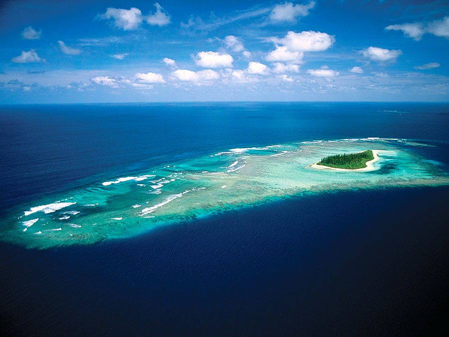 Маленький остров рифа