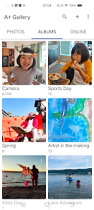 Скриншот интерфейса A+ Gallery