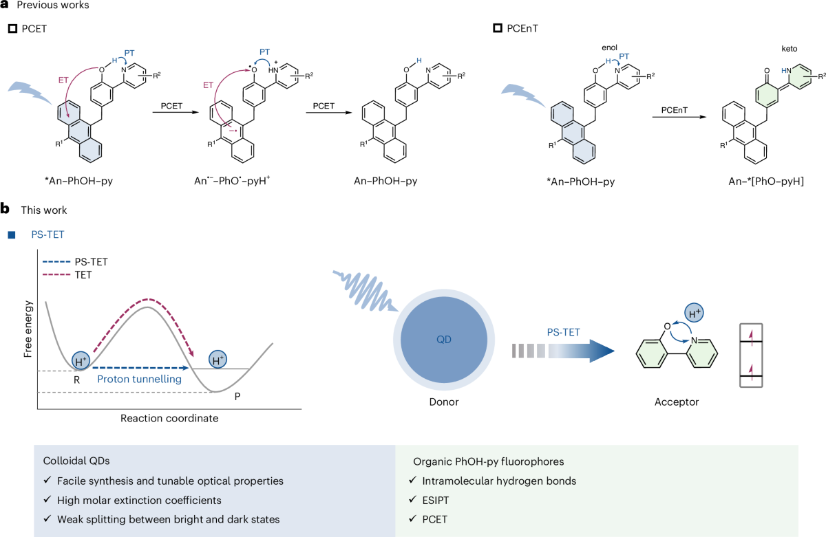 Система ZnSe-квантовых точек с фенол-пиридин дипольными акцепторами