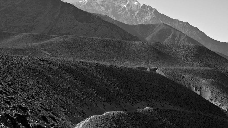 Социальные тренды молодежной культуры