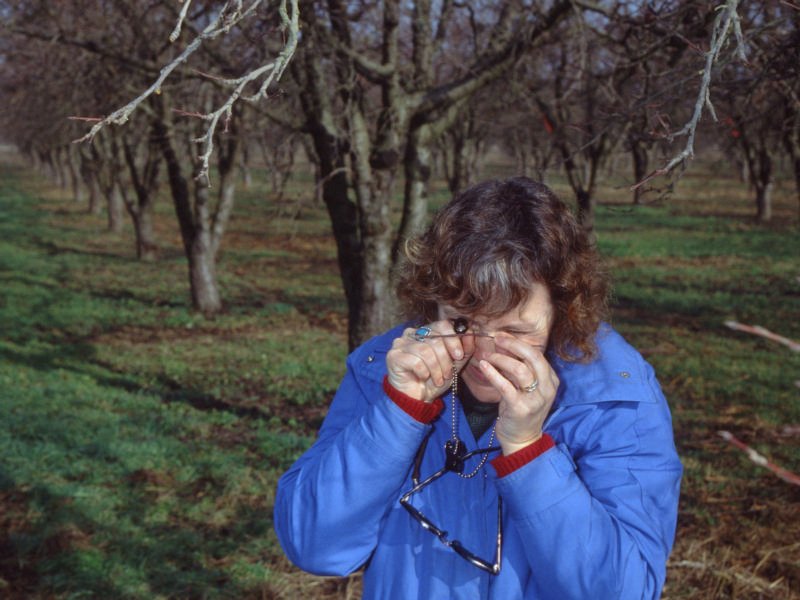 Каролин использует увеличительное стекло для осмотра яйца щитовки
