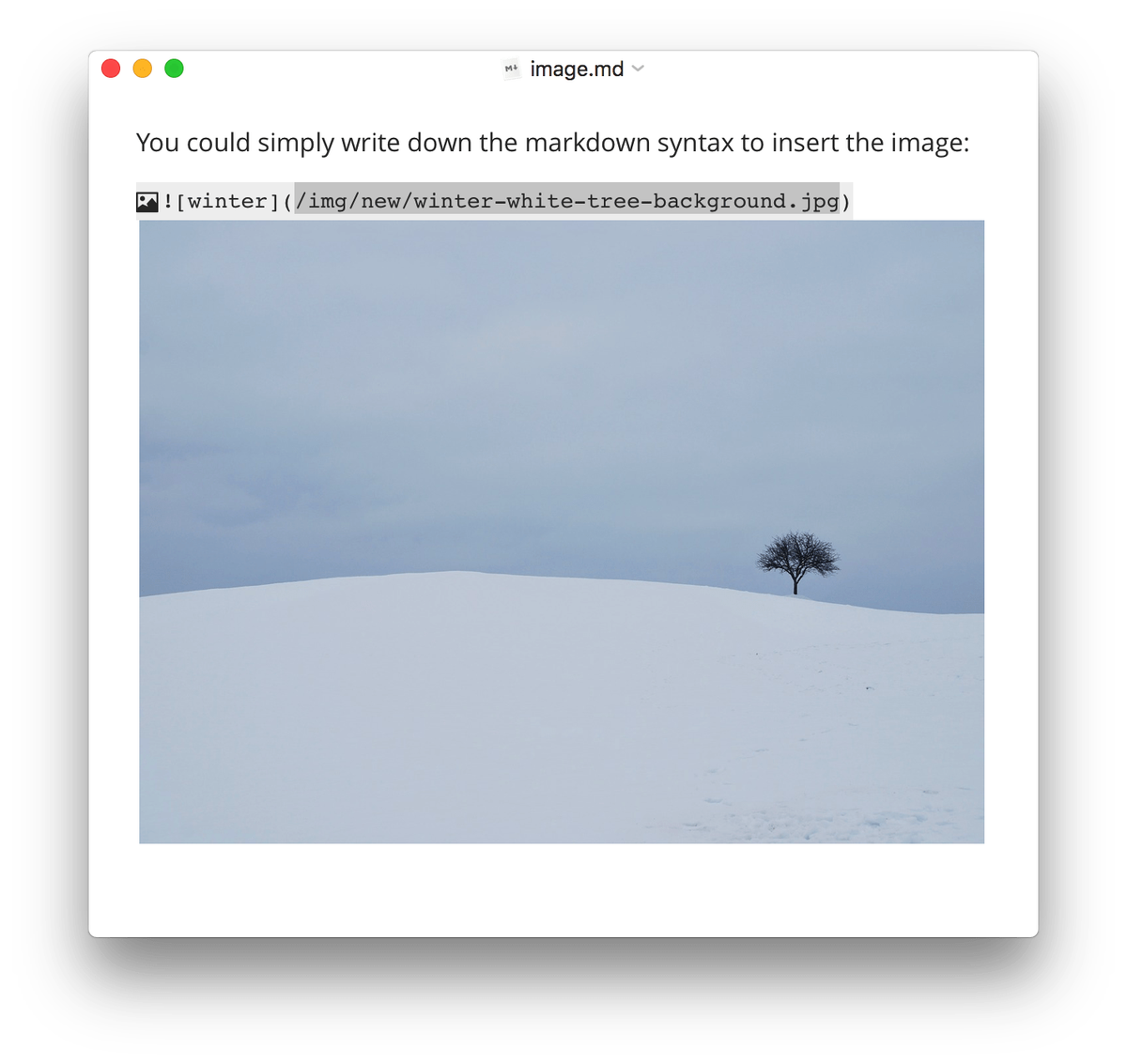 Интерфейс Typora