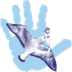 The Progeria Research Foundation / Исследовательская организация
